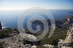 Girafe calanque. France