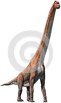 Giraffatitan 3D illustration