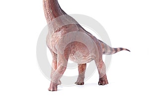 Giraffatitan Brachiosaurus is a herbivore genus with a long neck and a large body dinosaur