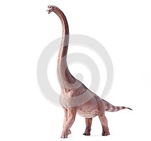 Giraffatitan Brachiosaurus is a herbivore genus with a long neck and a large body dinosaur