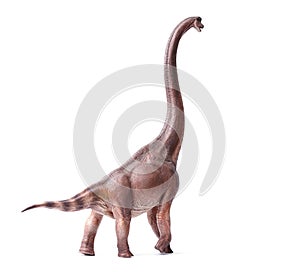 Giraffatitan Brachiosaurus is a herbivore genus with a long neck and a large body dinosaur