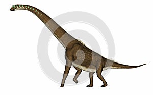 Giraffatitan dinosaur - 3D render