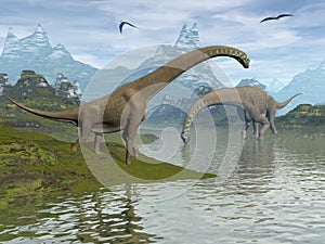 Giraffatitan dinosaurs - 3D render