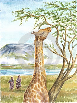 Giraffe, aborigines and Kilimangaro