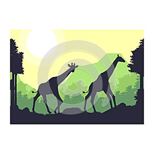 Giraffe animal silhouette forest mountain landscape design vector illustration