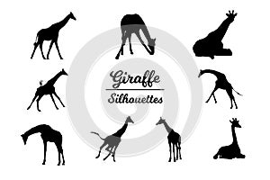 Giraffe animal silhouettes