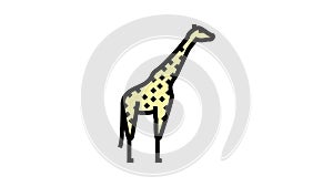 giraffe animal in zoo color icon animation