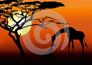 Giraffe and baby silhouette