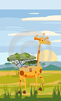 Giraffe on the background of the African landscape, savanna