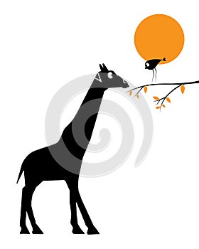 Giraffe and bird cartoon illustration isolated on white background, vector. Giraffe and bird silhouette on branch on sunset