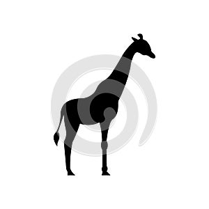 Giraffe black sign icon. Vector illustration eps 10