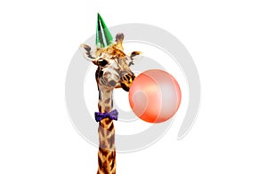 Giraffe blow air balloon birthday party white bg