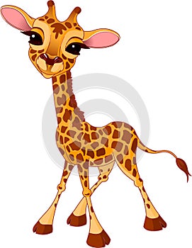 Giraffe Calf