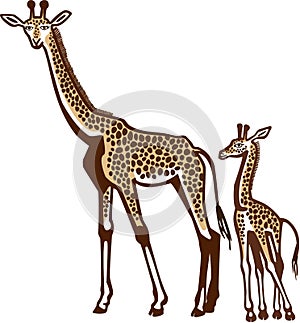 Giraffe and Calf