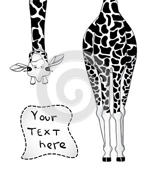 Giraffe card