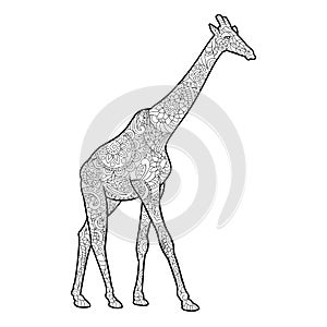 Giraffe coloring book for adults vector