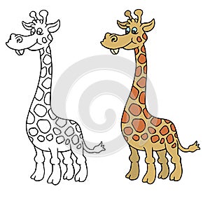 Giraffe