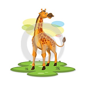 Giraffe design vector. Giraffe vector concept