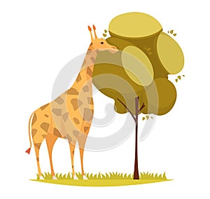 Giraffe Eating Leaves Composition