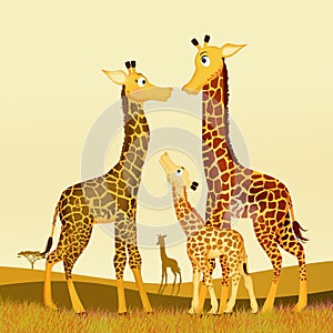 Giraffe family in the savannah