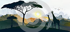 Giraffe family silhouettes, Vector illustration africa sunset panorama landscape