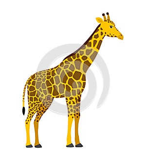 Giraffe flat african animal wildlife vector illustration icon isolated on white