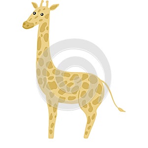 Giraffe full-length isolated on white background. Cute character from safari in pattern spots