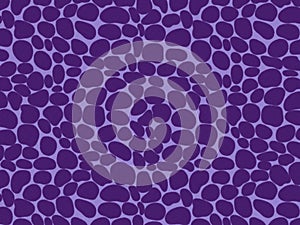 Giraffe fur skin pattern, carpet Giraffe hairy print background, purple and violet theme color texture, look smooth, fluffly.