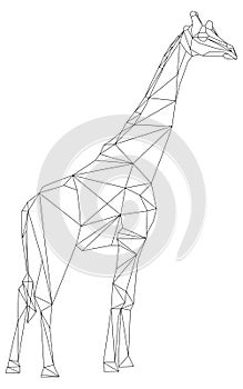 Giraffe geometric style