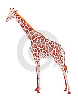 Giraffe or Giraffa Camelopardalis Side View WPA Art