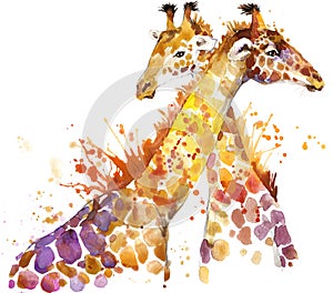 Giraffe. Giraffe illustration watercolor