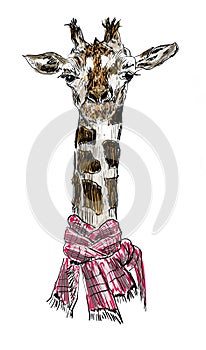 Giraffe hand drawn illustration,art design