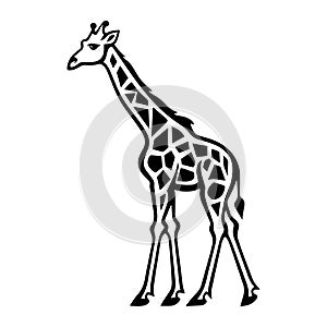 Giraffe head black outline art. Wild animal mascot vector illustration.