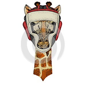 Giraffe head. Portrait of wild animal. Boxing helmet.