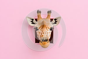 Giraffe head sculpture against a vibrant pink background photo