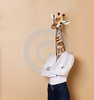 Giraffe headed woman dressed up in office style