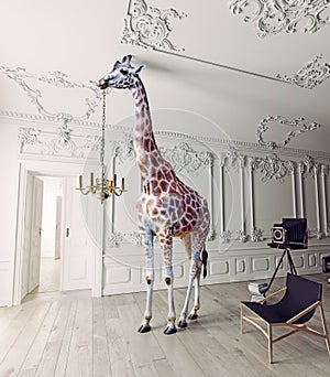 The giraffe hold the chandelier