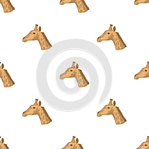 Giraffe icon in cartoon style isolated on white background.