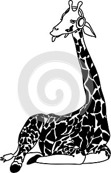 Giraffe illustration quote, Cartoon tropical animal , exotic summer jungle design.Hand drawn. Designf for baby shower party,