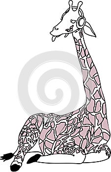 Giraffe illustration quote, Cartoon tropical animal , exotic summer jungle design.Hand drawn. Designf for baby shower party, photo