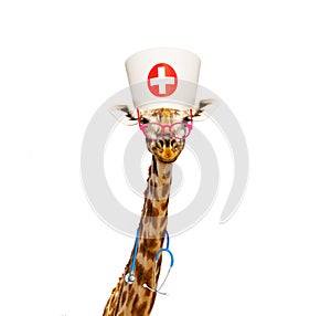 Giraffe kids doctor with stethoscope and glasses