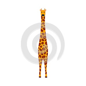 Giraffe mammal vector icon front view. Animal character cute brown safari symbol. Africa yellow herbivore