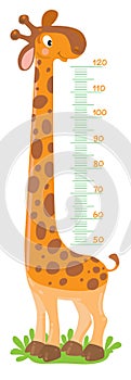 Giraffe meter wall or height chart