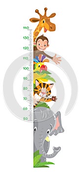 Giraffe, monkey, tiger. Meter wall or height chart