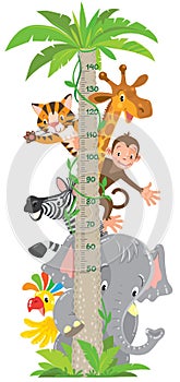 Giraffe, monkey, tiger. Meter wall or height chart photo