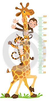 Giraffe, monkey, tiger. Meter wall or height chart photo