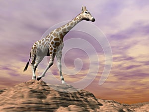 Giraffe observing on a dune - 3D render