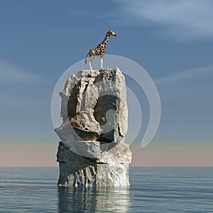 Giraffe in the ocean