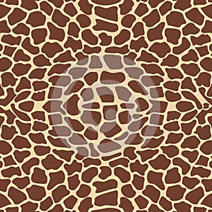 Giraffe pattern photo