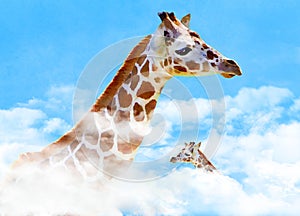 A giraffe pokes her head through the clouds to find blue sky.